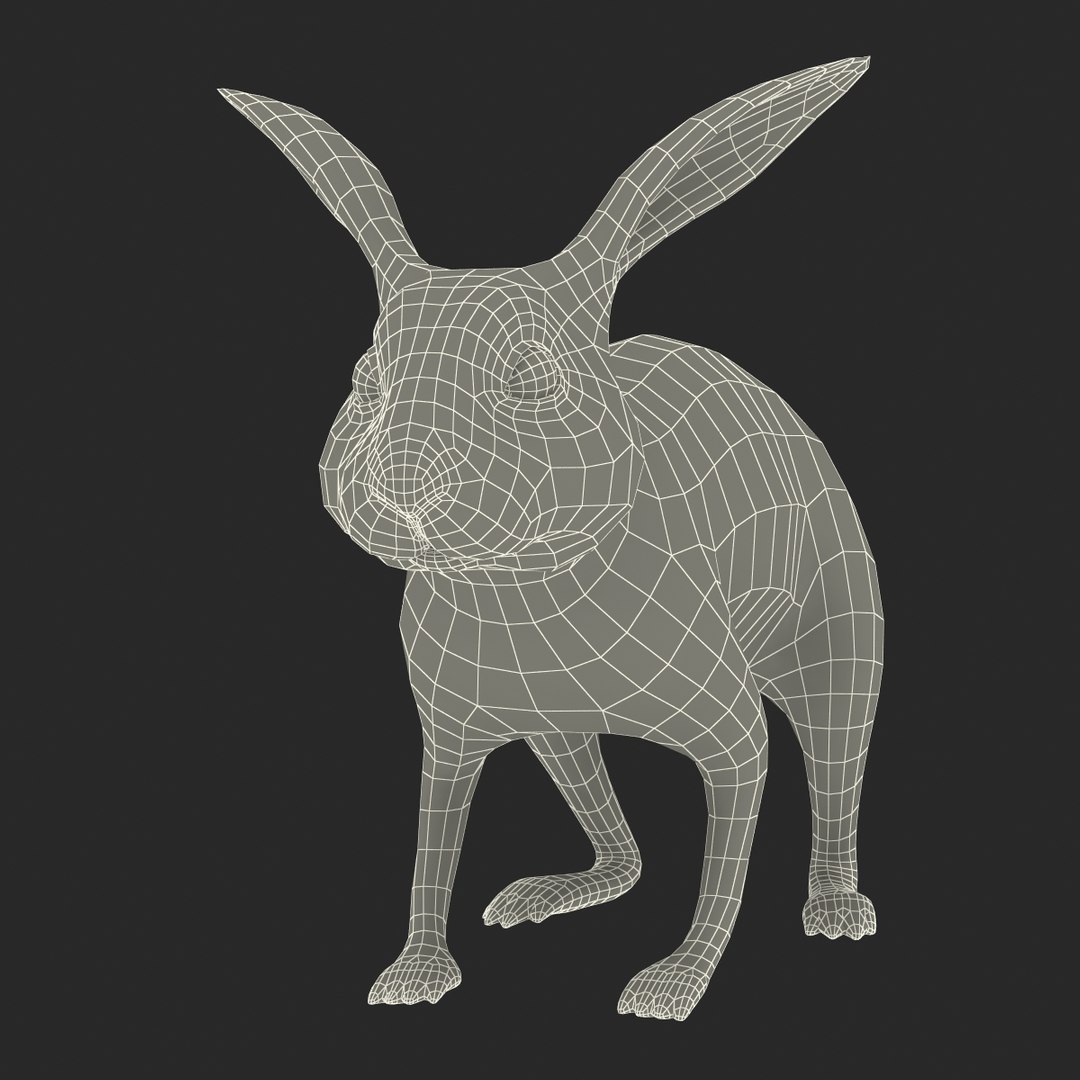 3d black rabbit rigged model