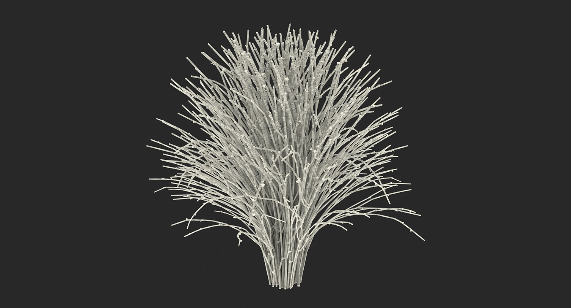 plants 2 3D model https://p.turbosquid.com/ts-thumb/Id/x6R9Fv/63D8o5Yp/plantscollection2vray3dmodel024/jpg/1590240175/1920x1080/fit_q87/d5387df786c7250eb1013c98fae73e9ba058688a/plantscollection2vray3dmodel024.jpg