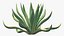 Colección de plantas 2