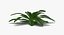 Colección de plantas 2