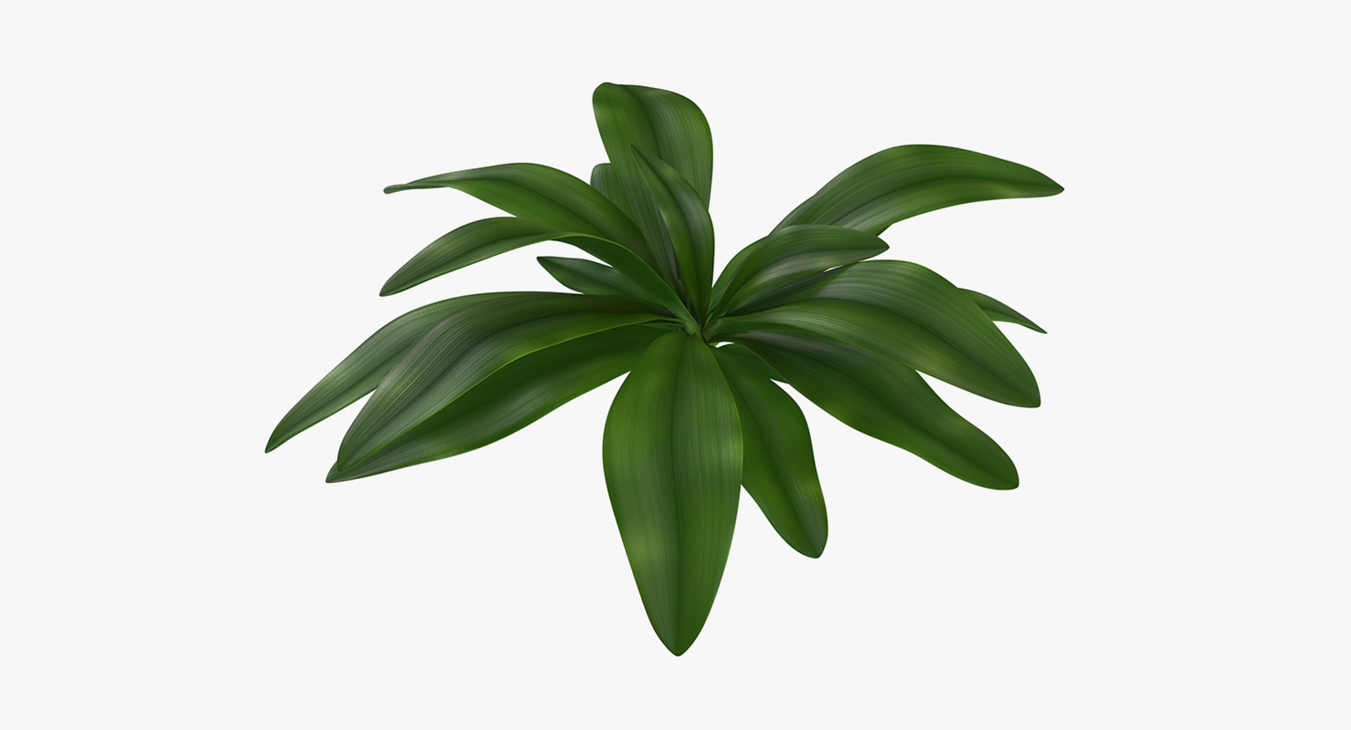 plants 2 3D model https://p.turbosquid.com/ts-thumb/Id/x6R9Fv/HbinnvSD/plantscollection2vray3dmodel015/jpg/1590240091/1920x1080/fit_q87/12db75ecee6a3282f74e59df57935b7b90751038/plantscollection2vray3dmodel015.jpg
