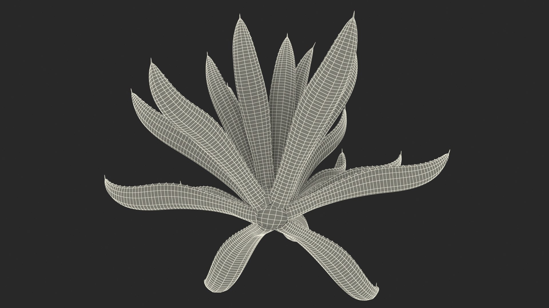 plants 2 3D model https://p.turbosquid.com/ts-thumb/Id/x6R9Fv/I5sVCTVA/plantscollection2vray3dmodel021/jpg/1590240141/1920x1080/fit_q87/e54b5acf677701f8e69e35a9567621971b9db918/plantscollection2vray3dmodel021.jpg