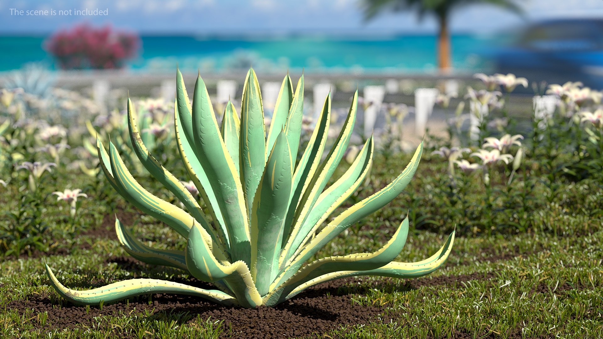 plants 2 3D model https://p.turbosquid.com/ts-thumb/Id/x6R9Fv/Iem4UEkz/plantscollection2vray3dmodel005/jpg/1590239971/1920x1080/fit_q87/b71a2b3f3ba0ec5c7bf5cb9b4f430930ee07cad3/plantscollection2vray3dmodel005.jpg