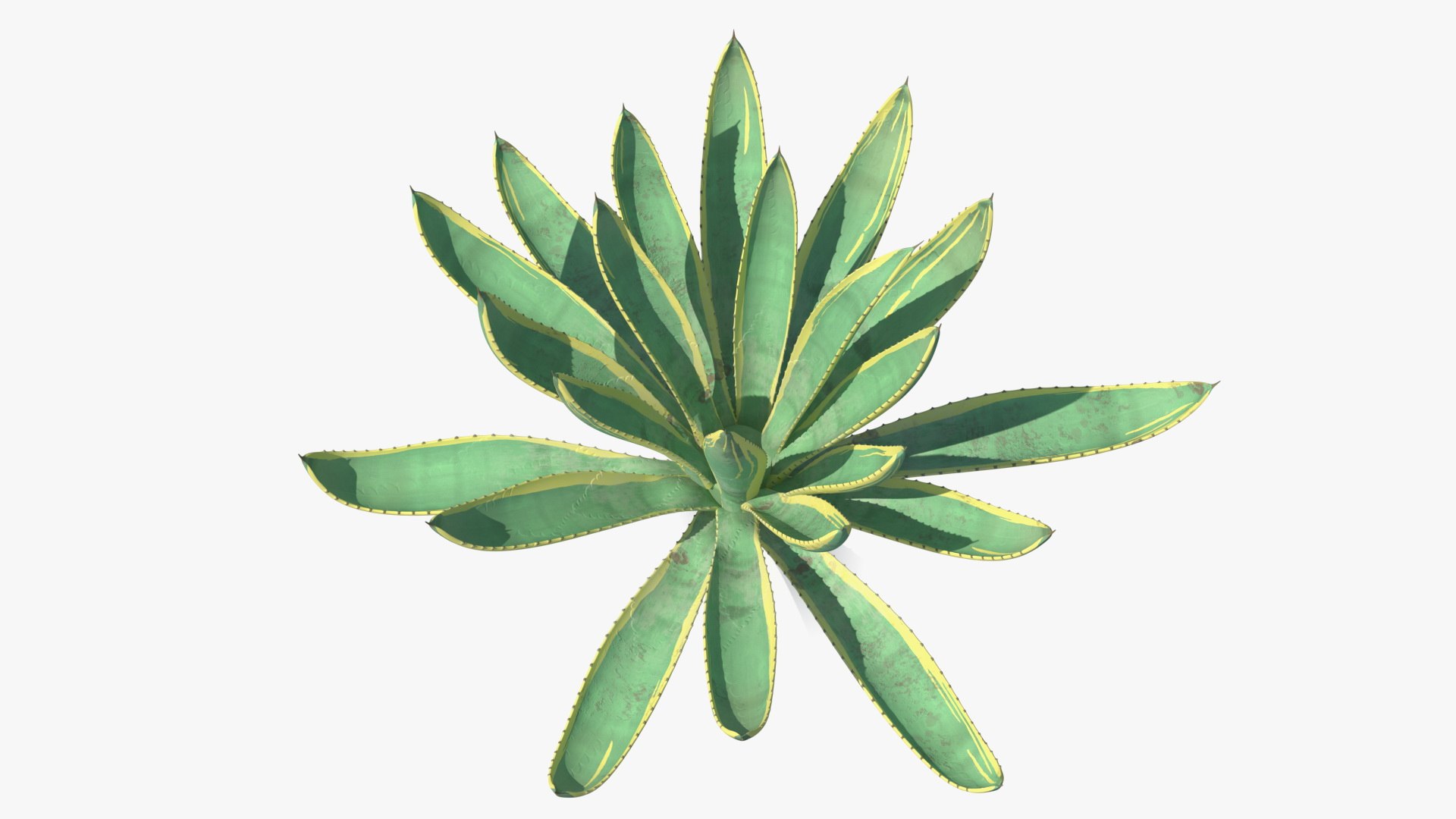 plants 2 3D model https://p.turbosquid.com/ts-thumb/Id/x6R9Fv/KgKo5NBL/plantscollection2vray3dmodel008/jpg/1590239997/1920x1080/fit_q87/7f2620beeb6443cb797a2f07241f4d1a675167bb/plantscollection2vray3dmodel008.jpg