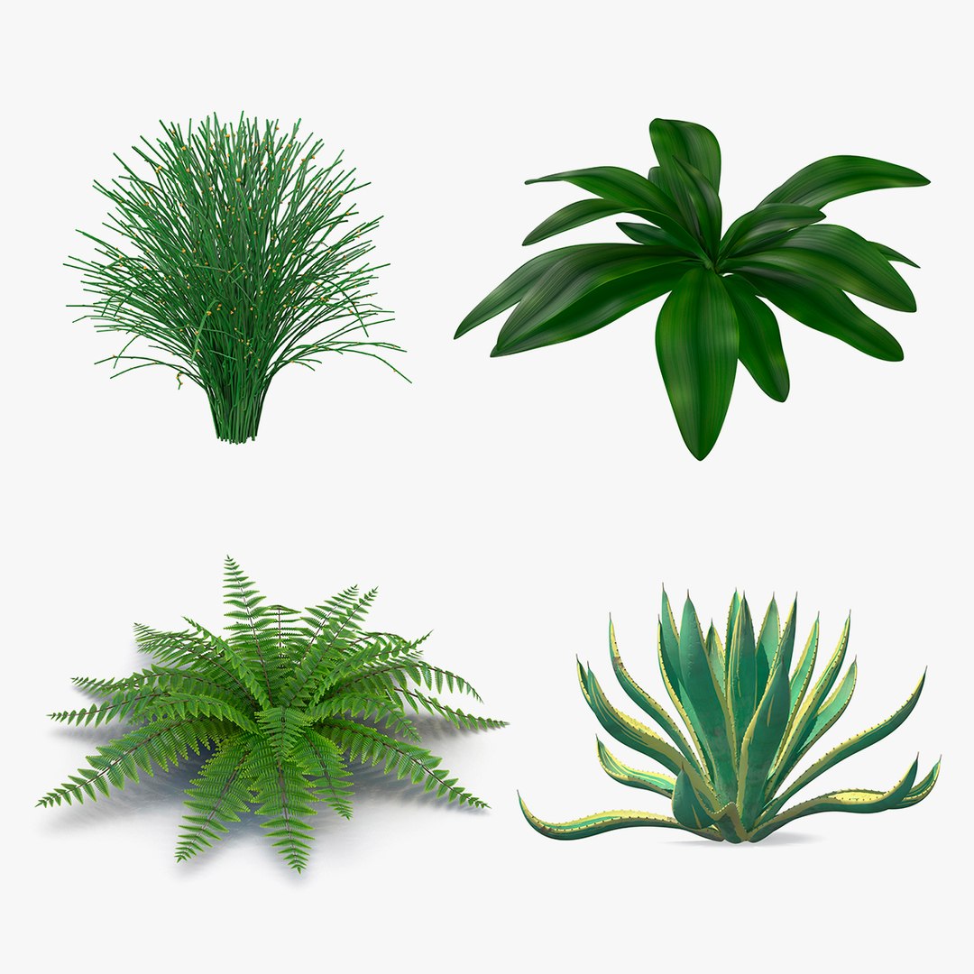Plants Collection 2 3D model preview