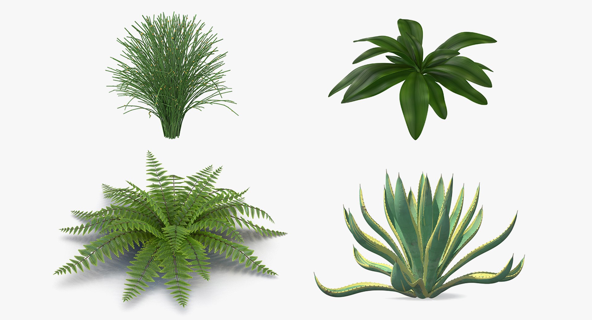 plants 2 3D model https://p.turbosquid.com/ts-thumb/Id/x6R9Fv/YipYJwEs/plantscollection2vray3dmodel002/jpg/1590239946/1920x1080/fit_q87/7bd2a2d603aab4aceb6902eee4316ab2fb3864ec/plantscollection2vray3dmodel002.jpg