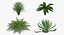 Colección de plantas 2