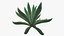 Colección de plantas 2