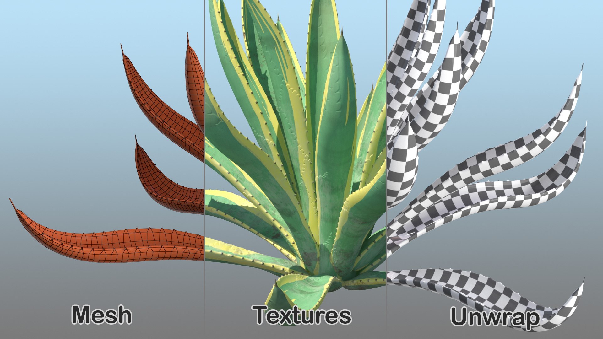 plants 2 3D model https://p.turbosquid.com/ts-thumb/Id/x6R9Fv/pC5j6Tjx/plantscollection2vray3dmodel006/jpg/1590239980/1920x1080/fit_q87/bd20774942dee8f9112438b875da37b5517c34cc/plantscollection2vray3dmodel006.jpg