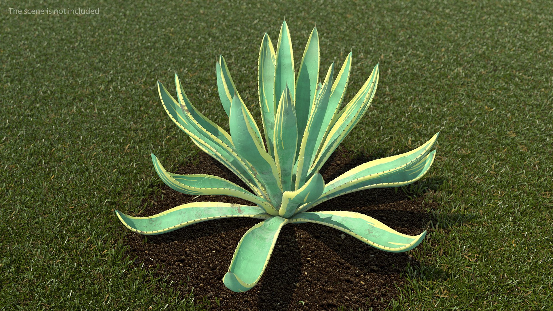 plants 2 3D model https://p.turbosquid.com/ts-thumb/Id/x6R9Fv/vJJteYJ0/plantscollection2vray3dmodel004/jpg/1590239963/1920x1080/fit_q87/c961a1467e716b43de238a29853b68e709913861/plantscollection2vray3dmodel004.jpg
