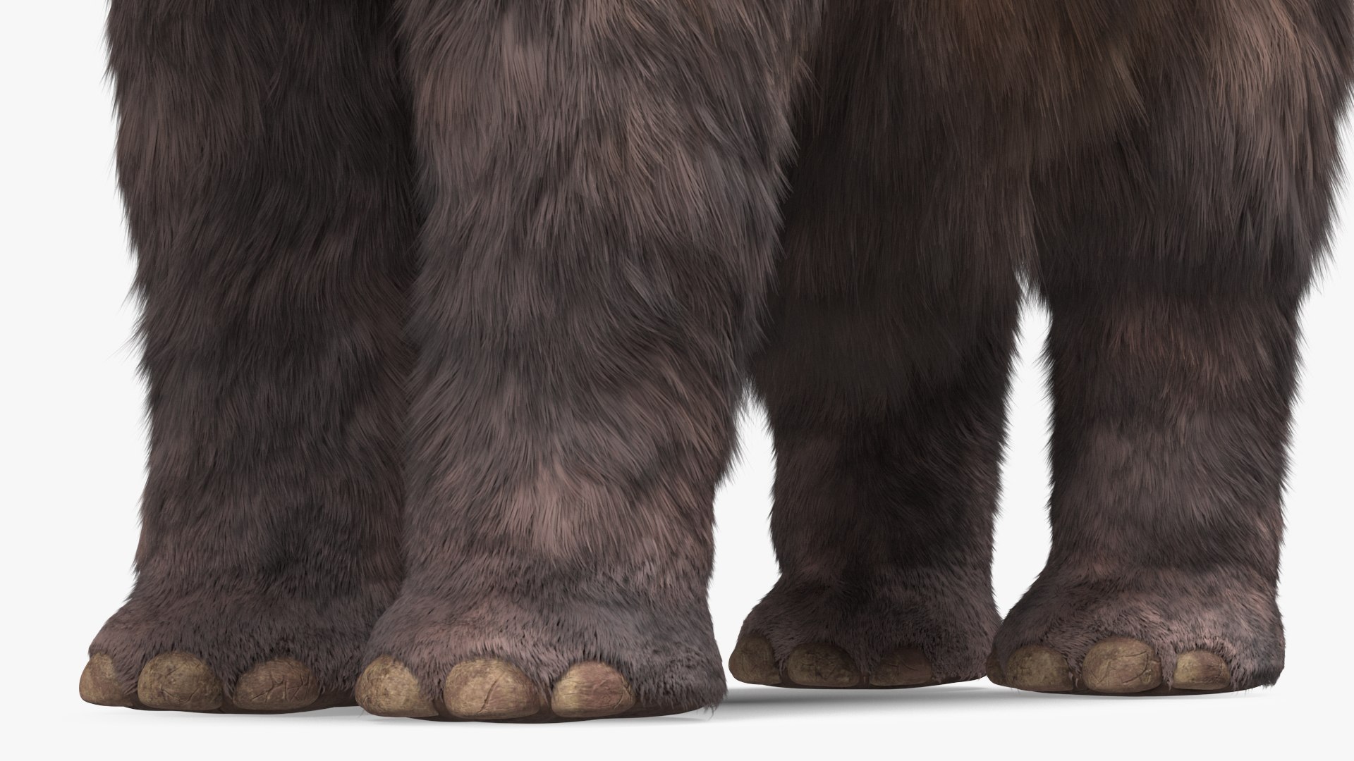 Mammoth Adult Fur Rigged 3D model https://p.turbosquid.com/ts-thumb/Id/xrS4H1/6b/mammothadultfurriggedc4dmodel024/jpg/1635199493/1920x1080/fit_q87/026abac2599e122bcfa4baa71d3436070447e8a4/mammothadultfurriggedc4dmodel024.jpg