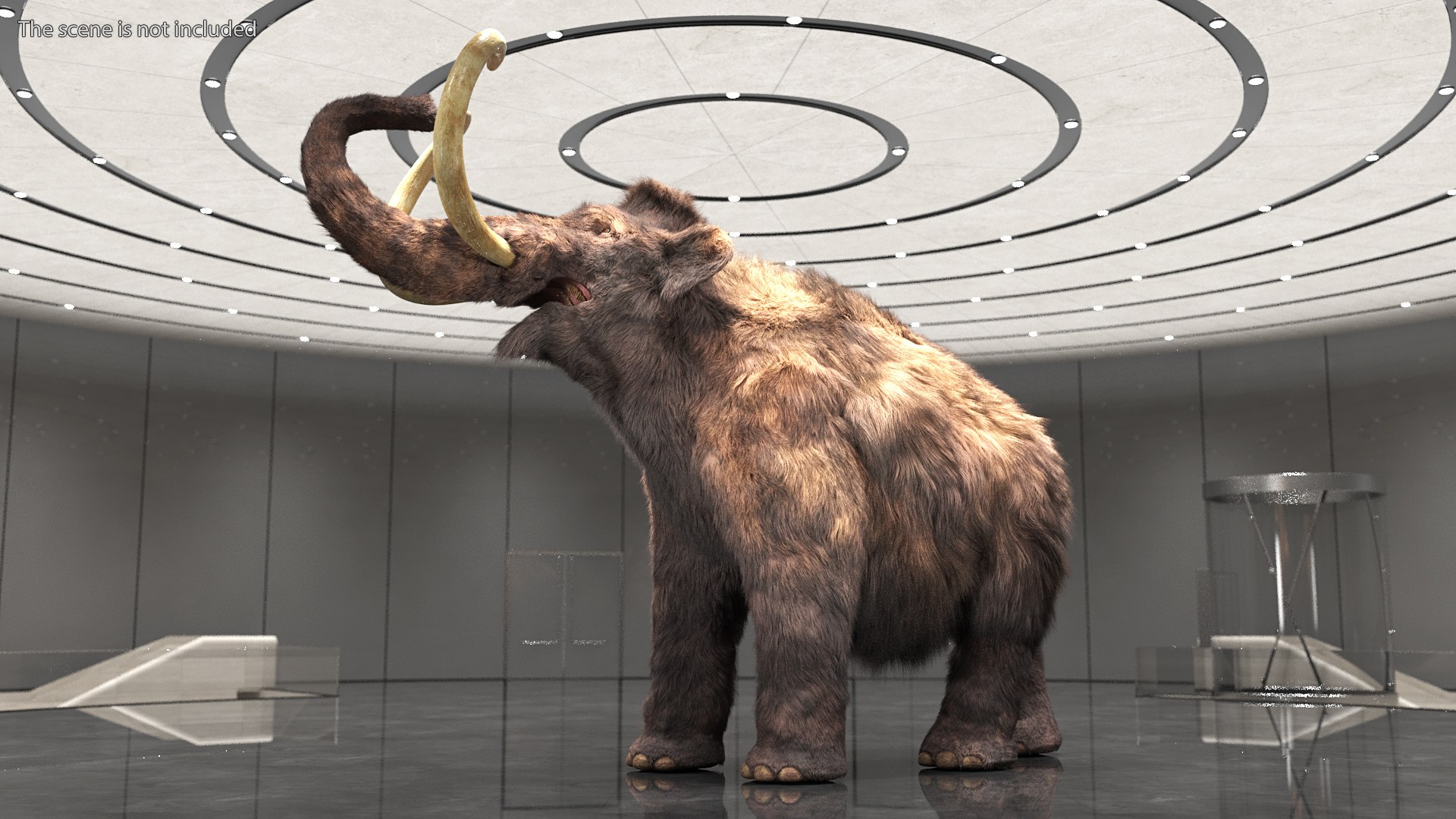 Mammoth Adult Fur Rigged 3D model https://p.turbosquid.com/ts-thumb/Id/xrS4H1/8v/mammothadultfurriggedc4dmodel003/jpg/1635199430/1920x1080/fit_q87/557b8923117357ef0eb096e9d4c0c812bbffd107/mammothadultfurriggedc4dmodel003.jpg