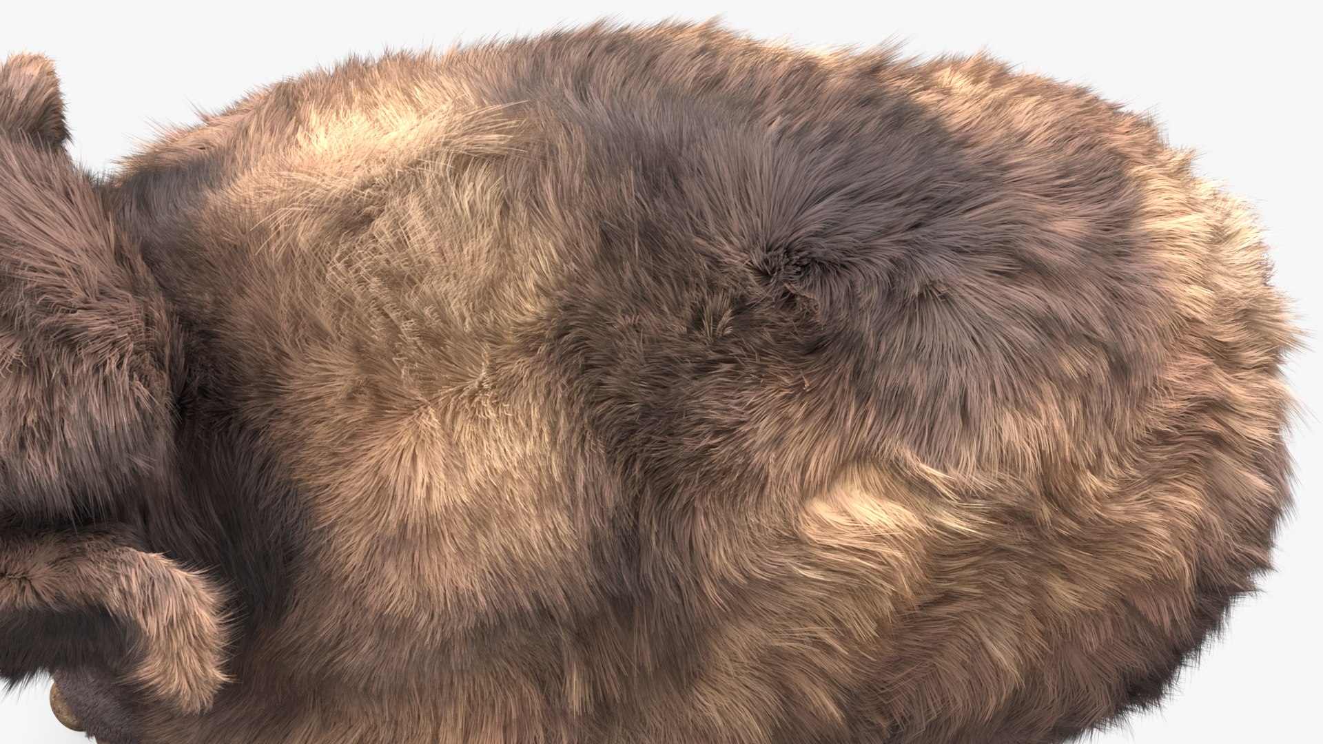 Mammoth Adult Fur Rigged 3D model https://p.turbosquid.com/ts-thumb/Id/xrS4H1/D9/mammothadultfurriggedc4dmodel021/jpg/1635199484/1920x1080/fit_q87/3316f0d8c735bc8d70268f3b5f0db47dbc1898b4/mammothadultfurriggedc4dmodel021.jpg