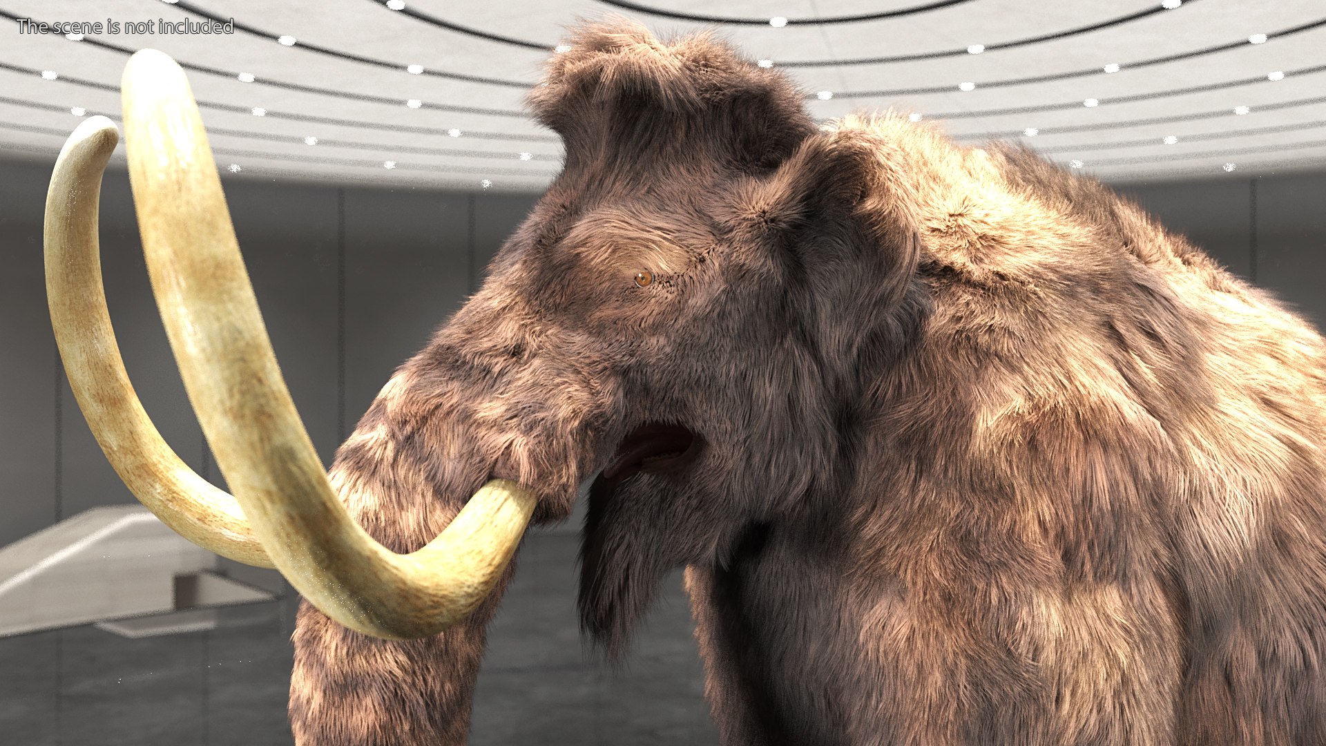 Mammoth Adult Fur Rigged 3D model https://p.turbosquid.com/ts-thumb/Id/xrS4H1/Jw/mammothadultfurriggedc4dmodel008/jpg/1635199446/1920x1080/fit_q87/1b4ccf8f8a200a72264a5aaa090f12f78d10dd25/mammothadultfurriggedc4dmodel008.jpg