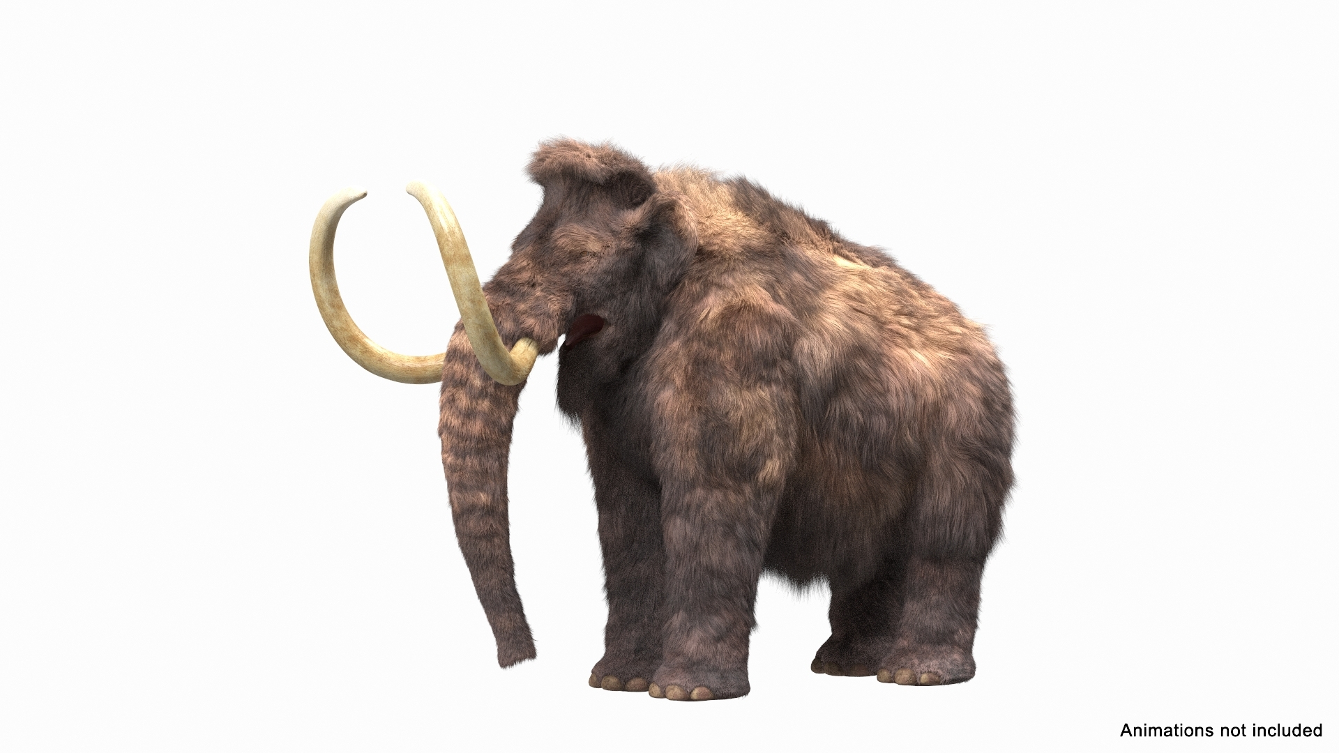 Mammoth Adult Fur Rigged 3D model https://p.turbosquid.com/ts-thumb/Id/xrS4H1/Rt/mammoth_adult_fur_rigged_362/jpg/1635199543/1920x1080/turn_fit_q99/3751eb93e6258be4f654e361aacd44be73e951bd/mammoth_adult_fur_rigged_362-1.jpg