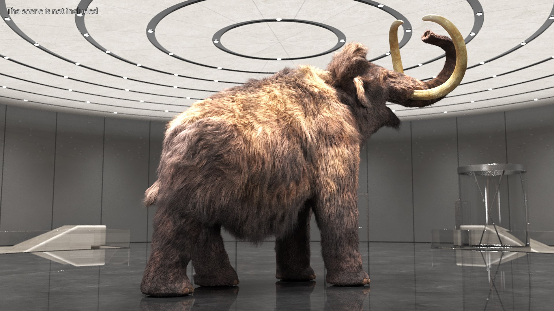 Mammoth Adult Fur Rigged 3D model https://p.turbosquid.com/ts-thumb/Id/xrS4H1/Sr/mammothadultfurriggedc4dmodel006/jpg/1635199439/1920x1080/fit_q87/2894e0b87dd63013c253ad52d2f6ea5e924f70f5/mammothadultfurriggedc4dmodel006.jpg