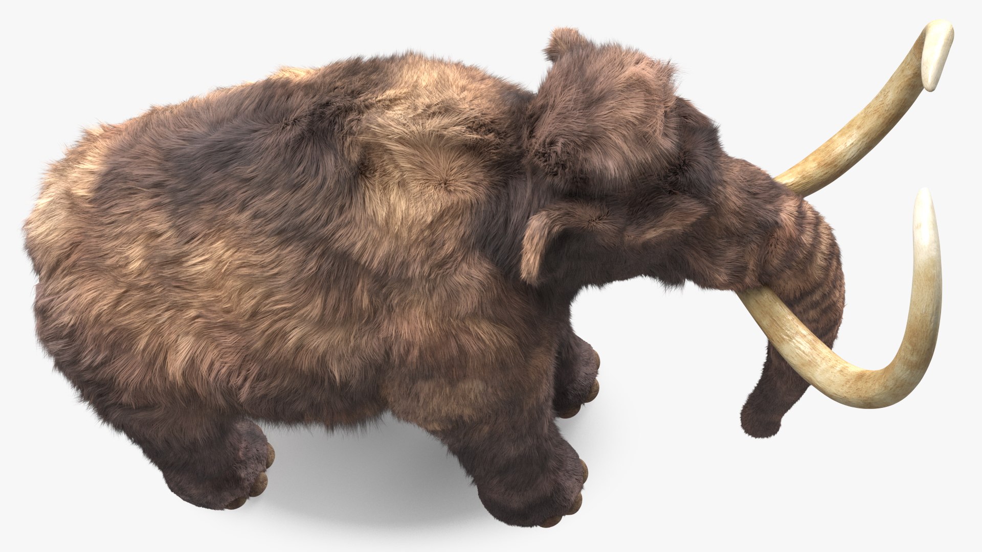 Mammoth Adult Fur Rigged 3D model https://p.turbosquid.com/ts-thumb/Id/xrS4H1/TI/mammothadultfurriggedc4dmodel020/jpg/1635199481/1920x1080/fit_q87/7a8cb1bfaacc238b55334a29ba7efe454aa4304a/mammothadultfurriggedc4dmodel020.jpg
