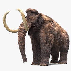 Mammoth Adult Fur Rigged
