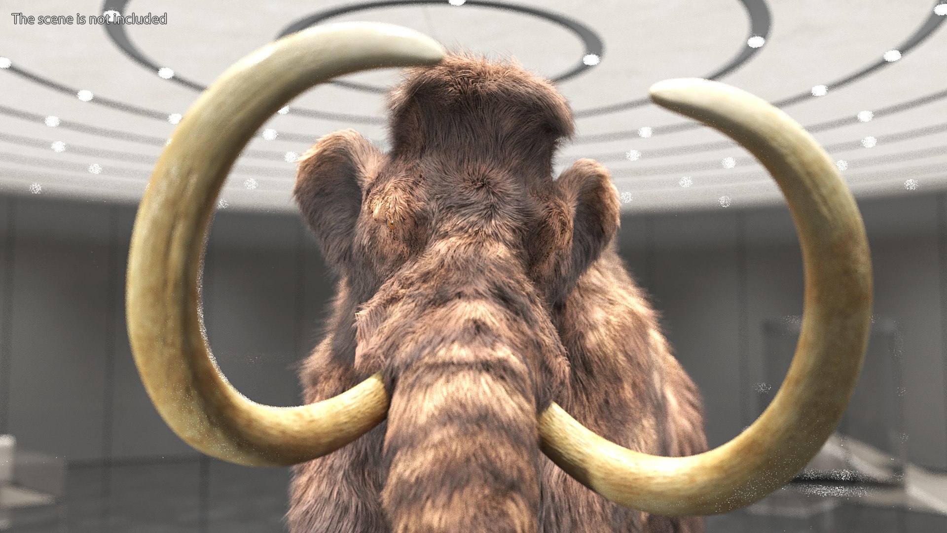Mammoth Adult Fur Rigged 3D model https://p.turbosquid.com/ts-thumb/Id/xrS4H1/de/mammothadultfurriggedc4dmodel010/jpg/1635199452/1920x1080/fit_q87/7f747de791cade059a52384c2a5e6f8acf4d520b/mammothadultfurriggedc4dmodel010.jpg