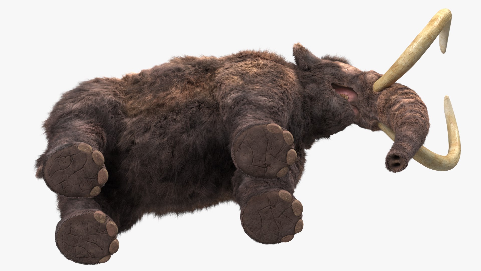 Mammoth Adult Fur Rigged 3D model https://p.turbosquid.com/ts-thumb/Id/xrS4H1/e2/mammothadultfurriggedc4dmodel022/jpg/1635199487/1920x1080/fit_q87/3d46c4423c404d5660656512c567e691bcfe9682/mammothadultfurriggedc4dmodel022.jpg