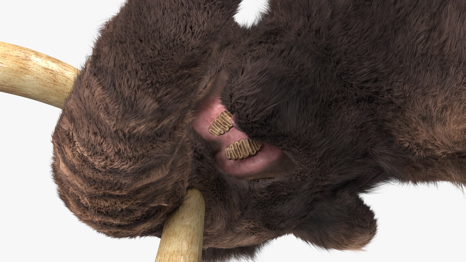 Mammoth Adult Fur Rigged 3D model https://p.turbosquid.com/ts-thumb/Id/xrS4H1/jo/mammothadultfurriggedc4dmodel023/jpg/1635199490/1920x1080/fit_q87/b0d9ff60d68da127377120ea05329818c54e2152/mammothadultfurriggedc4dmodel023.jpg