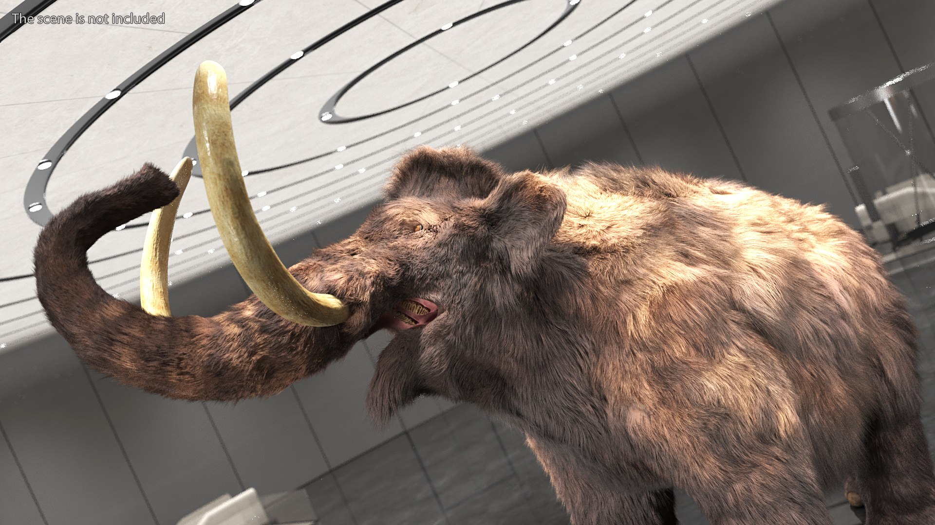 Mammoth Adult Fur Rigged 3D model https://p.turbosquid.com/ts-thumb/Id/xrS4H1/km/mammothadultfurriggedc4dmodel009/jpg/1635199449/1920x1080/fit_q87/6b7099ef65df6fabcae68c99d7201ccd9b4001c1/mammothadultfurriggedc4dmodel009.jpg