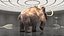 Mammoth Adult Fur Rigged