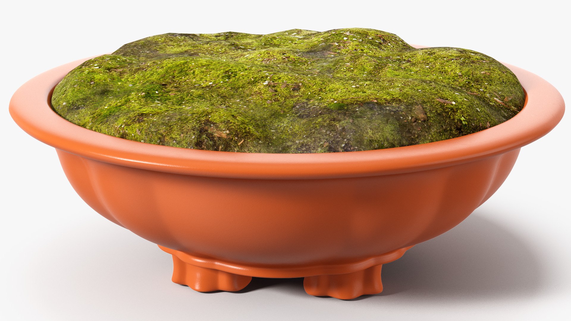 Wide Shallow Flower Pot with Soil 3D model preview