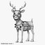 Cartoon Deer Rigged