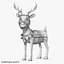 Cartoon Deer Rigged