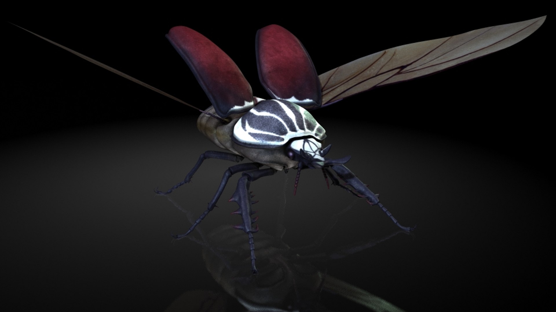 Giant Beetles Insects 3D Model - TurboSquid 1318622
