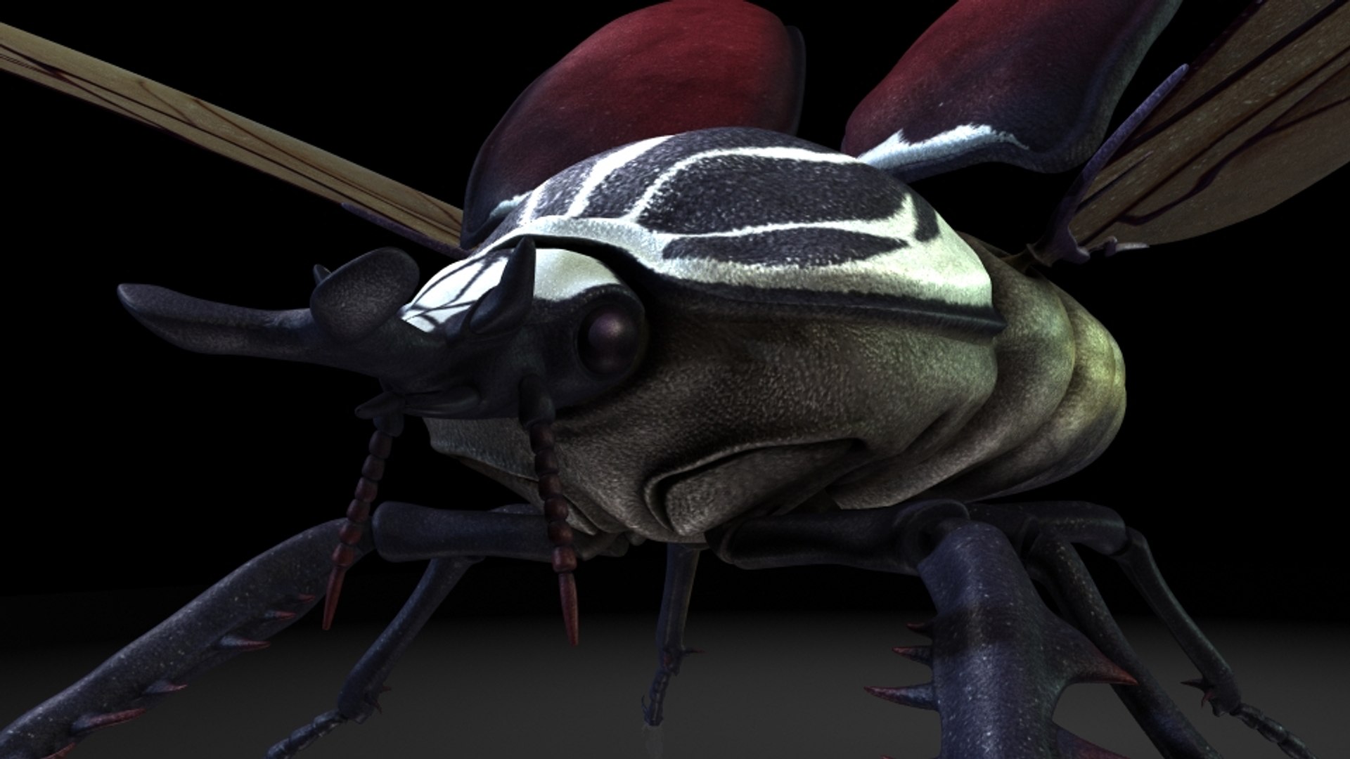 Giant Beetles Insects 3D Model - TurboSquid 1318622