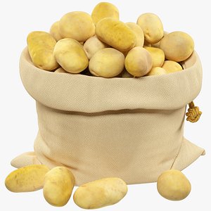 Potato Sack V1 3D model