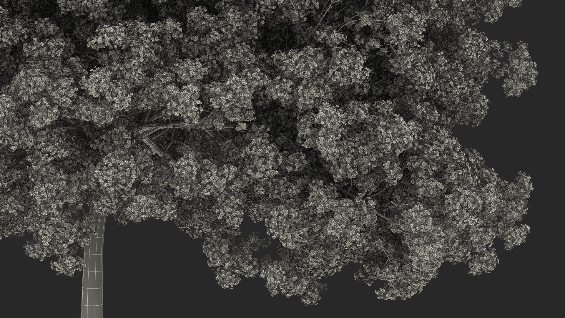 Pink Lapacho Tree 3D model https://p.turbosquid.com/ts-thumb/Ie/KcZ9oy/A1/pinklapachotreec4dmodel029/jpg/1620360437/1920x1080/fit_q87/9aaf86d002e7395c72d4f4f8b1ffd17f0def167b/pinklapachotreec4dmodel029.jpg