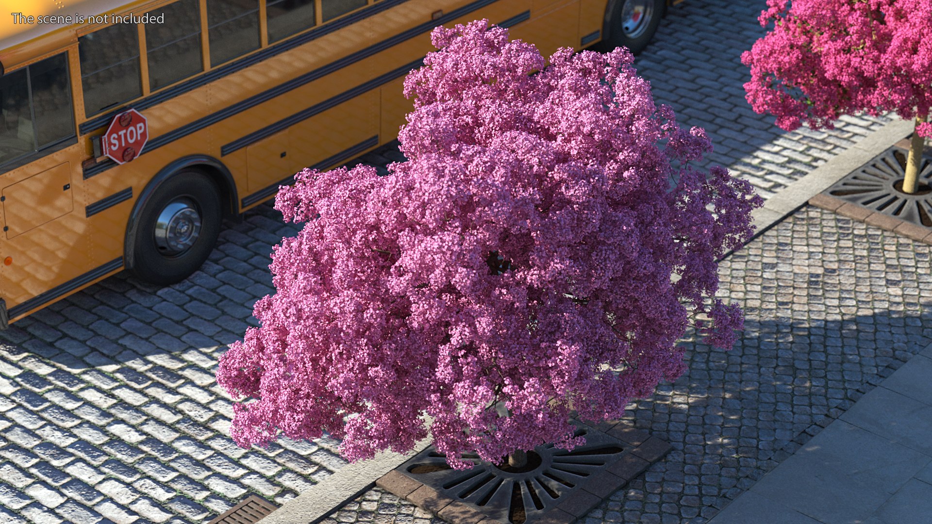 Pink Lapacho Tree 3D model https://p.turbosquid.com/ts-thumb/Ie/KcZ9oy/Dx/pinklapachotreec4dmodel004/jpg/1620360112/1920x1080/fit_q87/9e825f0fd8802bd0a7b599d649fcfd300cafc200/pinklapachotreec4dmodel004.jpg