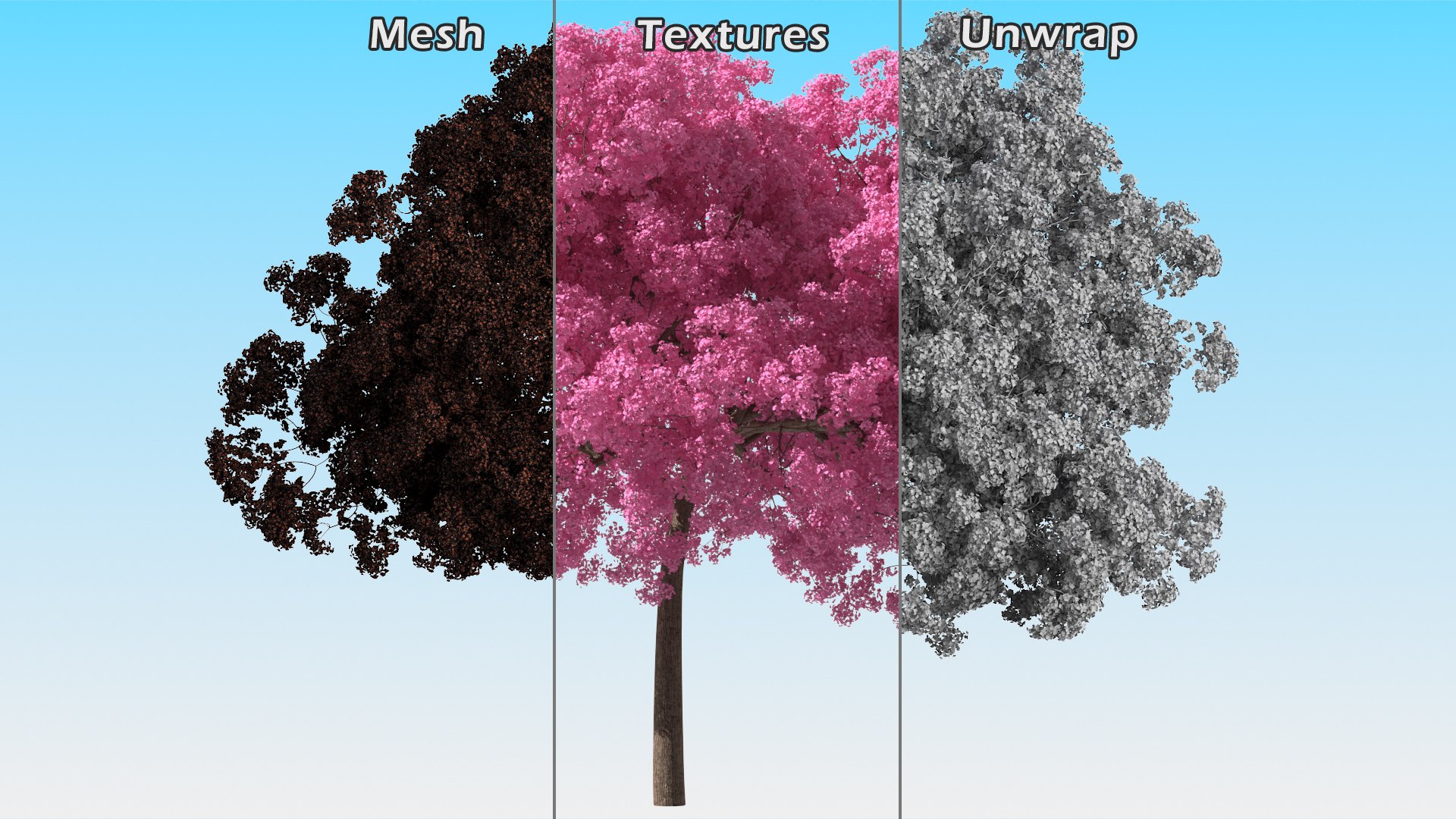 Pink Lapacho Tree 3D model https://p.turbosquid.com/ts-thumb/Ie/KcZ9oy/No/pinklapachotreec4dmodel016/jpg/1620360267/1920x1080/fit_q87/d16efe167ada971d2ed296520f179137d69ec31c/pinklapachotreec4dmodel016.jpg