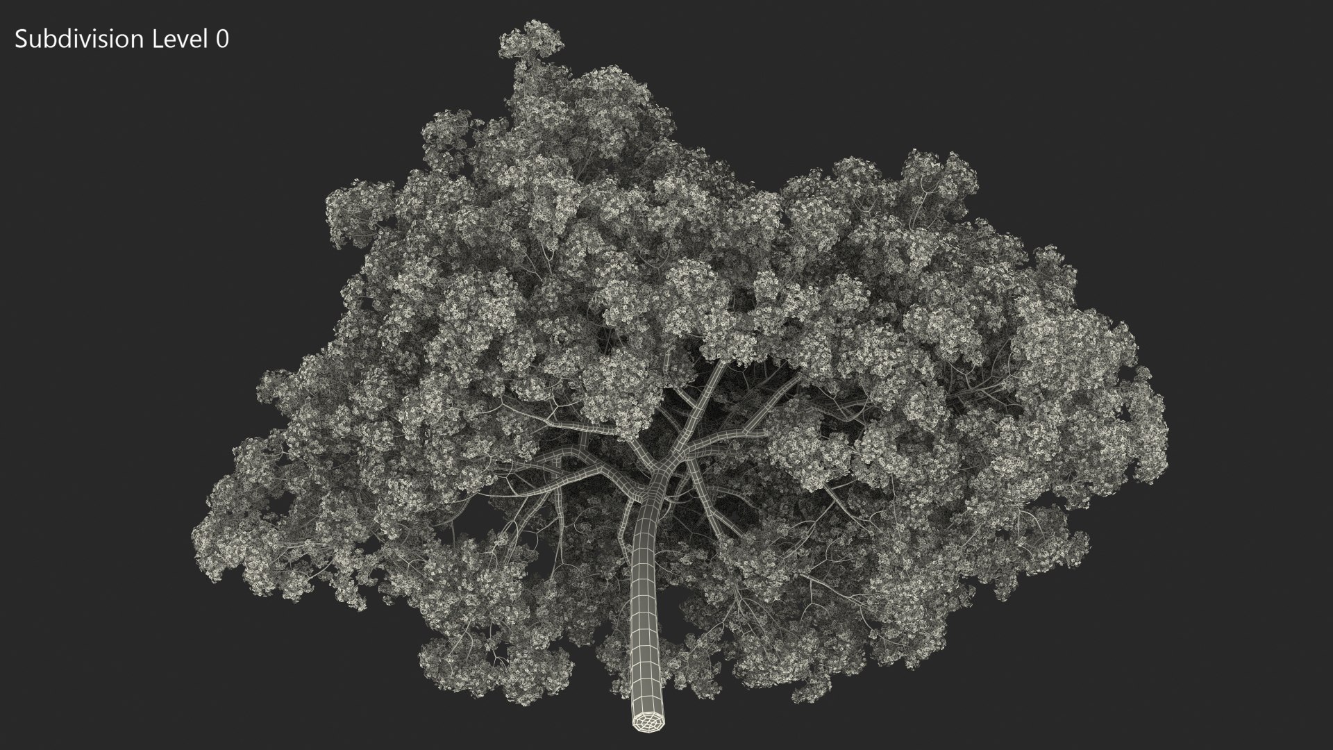 Pink Lapacho Tree 3D model https://p.turbosquid.com/ts-thumb/Ie/KcZ9oy/s0/pinklapachotreec4dmodel017/jpg/1620360280/1920x1080/fit_q87/a64ee1828d5a685649f746e686d1a5057e68772c/pinklapachotreec4dmodel017.jpg
