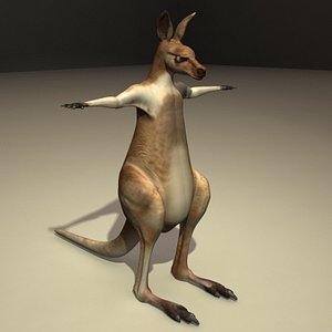 male kangaroo obj