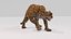 Rigged And Animated Jaguar High Quality 3D