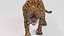 Rigged And Animated Jaguar High Quality 3D