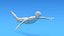 3D swimming kid model