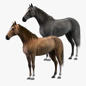 3D rigged horses model