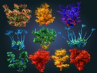 Coral reef plants Animated Pack 10