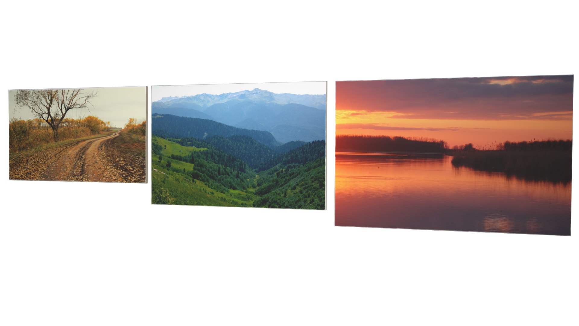 3D Paintings https://p.turbosquid.com/ts-thumb/Ie/hqiVGC/VQ/r_04/jpg/1690860617/1920x1080/fit_q87/a754b9db42c4921809b474e2afff749b40724164/r_04.jpg