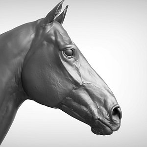 horse head v2 3D model