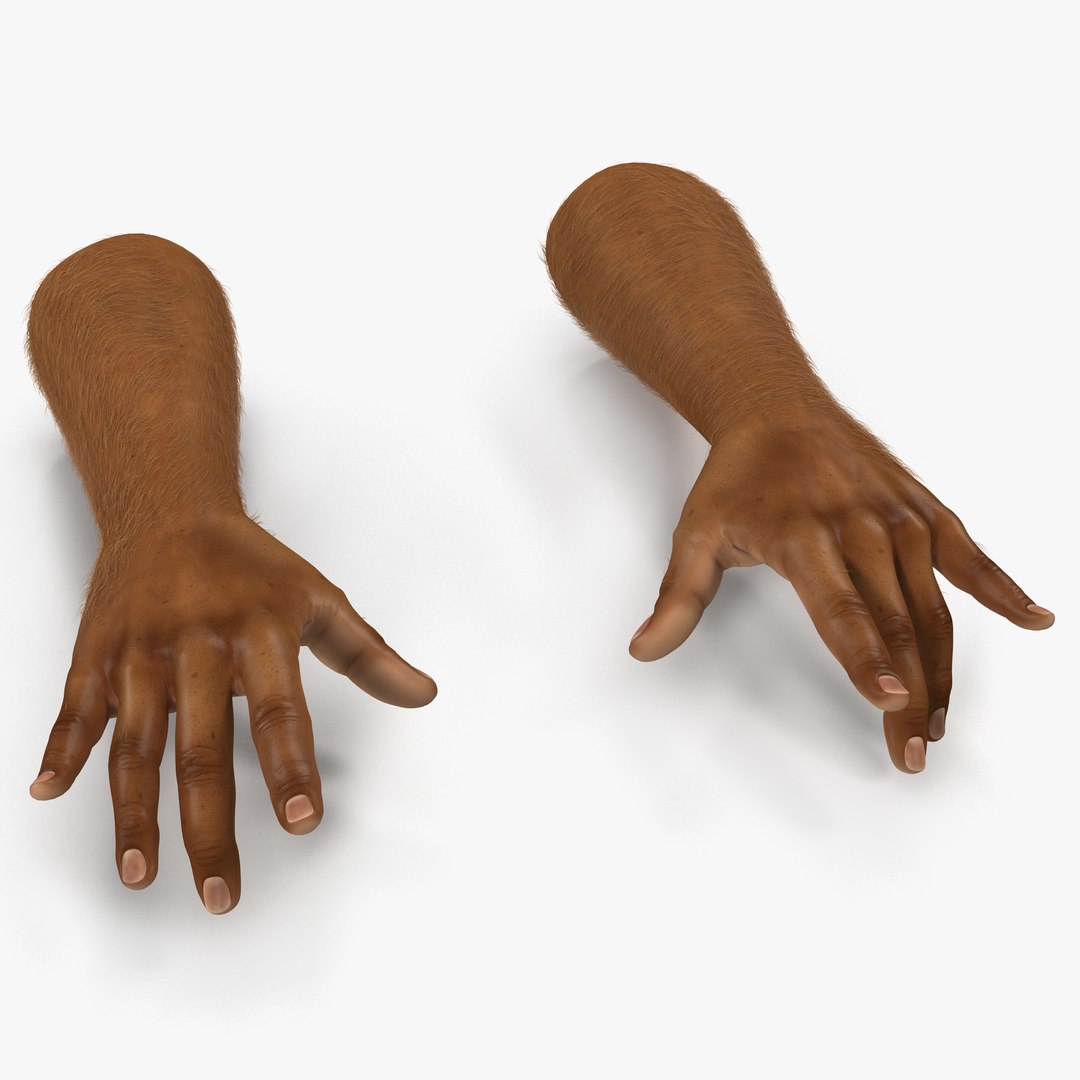 African Man Hands 3 with Fur Pose 3 3D Model 3D model preview