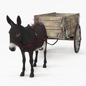Donkey Cart With Exposed Mechanical Parts Brown 3D model