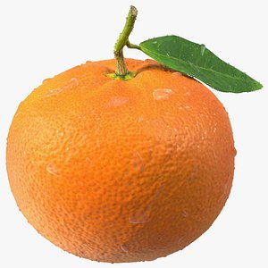 Mandarin with Water Drops