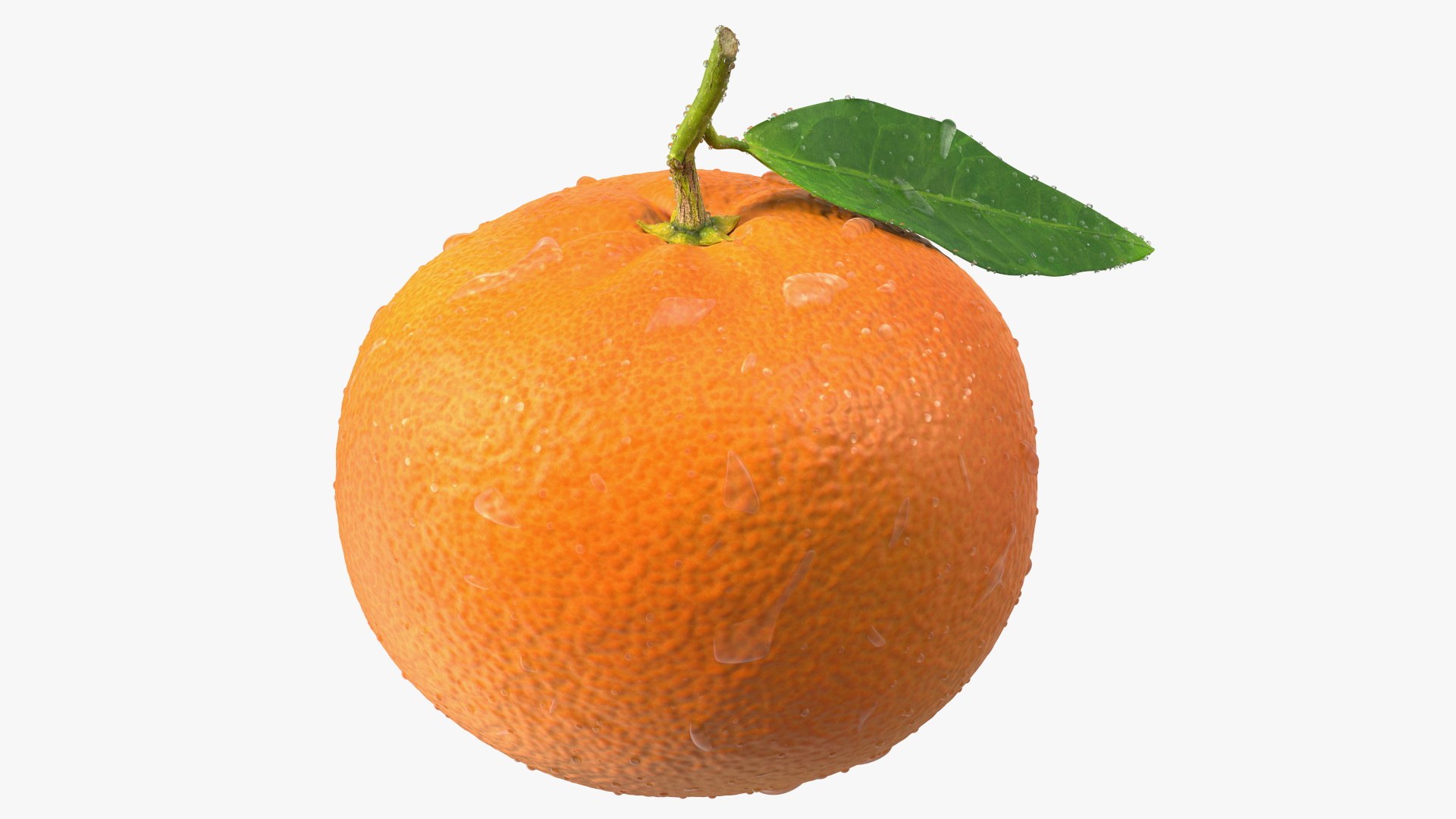 Mandarin with Water Drops 3D model preview
