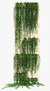 planter box ivy model